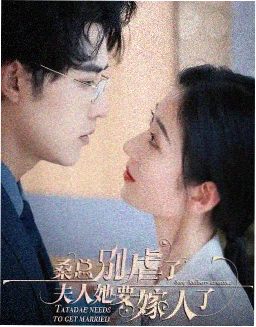 丁香花之恋 电视剧